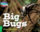 Cambridge Reading Adventures Big Bugs Green Band-9781107550643