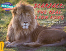 Scarface the Real Lion King