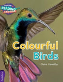 Cambridge Reading Adventures Colourful Birds Purple Band-9781108435697