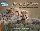 Honey and Toto - Pathfinders