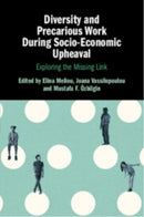 Diversity and Precarious Work During Socio-economic Upheaval