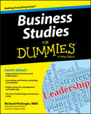 Business Studies For Dummies-9781118348116