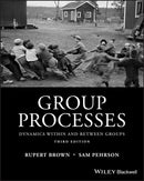 Group Processes : Dynamics within and Between Groups-9781118719299
