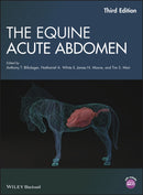 The Equine Acute Abdomen-9781119063216