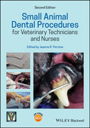 Small Animal Dental Procedures for Veterinary Technicians and Nurses-9781119451839