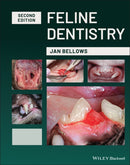 Feline Dentistry-9781119568018