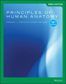 Principles of Human Anatomy, EMEA Edition-9781119587538