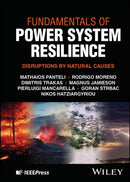 Fundamentals of Power System Resilience: Disruptio ns by Natural Causes