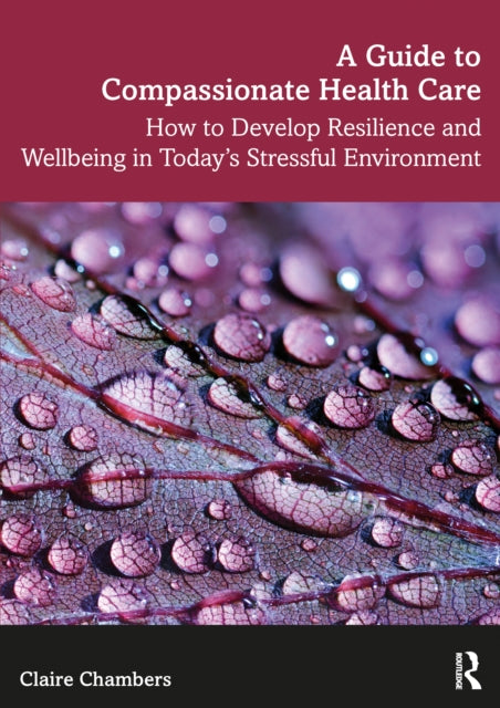 A Guide to Compassionate Healthcare : How to Develop Resilience and Wellbeing in Today's Stressful Environment-9781138093409