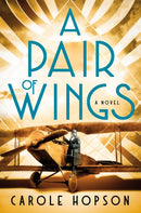 A Pair of Wings-9781250347213