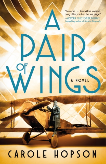 A Pair of Wings : A Novel-9781250347220