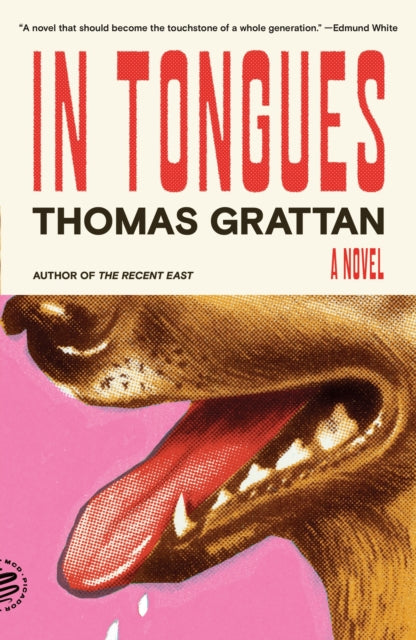 In Tongues : A Novel-9781250390462