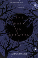 The Dark In-Between-9781250419880
