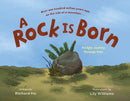A Rock Is Born : An Epic Journey Through Time-9781250749925