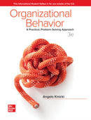 ISE Organizational Behavior: A Practical, Problem-Solving Approach-9781260570373