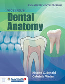 Woelfel''s Dental Anatomy, Enhanced Edition