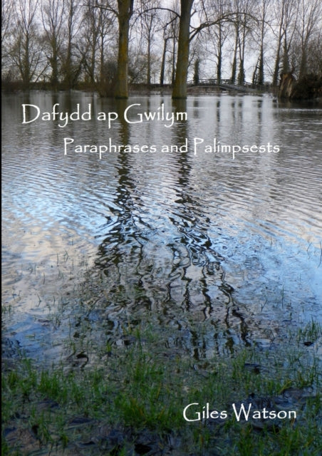 Dafydd Ap Gwilym: Paraphrases and Palimpsests-9781291866803
