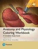 Anatomy and Physiology Coloring Workbook: A Complete Study Guide, Global Edition-9781292214146