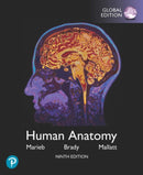Human Anatomy, Global Edition-9781292314471