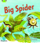 Bug Club Phonics - Phase 5 Unit 27: Big Spider-9781292395388