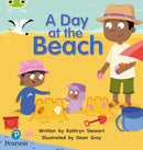 Bug Club Phonics - Phase 1 Unit 0: A Day at the Beach-9781292395418
