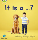 Bug Club Phonics - Phase 2 Unit 3: It is a ...?-9781292407845