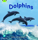 Bug Club Phonics - Phase 5 Unit 13: Dolphins-9781292407975