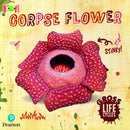 Bug Club Reading Corner: Age 5-7: Gross Lifecycles: Corpse Flower-9781292452906