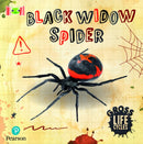 Bug Club Reading Corner: Age 5-7: Gross Lifecycles: Black Widow Spider-9781292452937