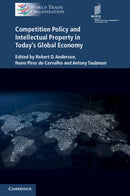 Competition Policy and Intellectual Property in Today's Global Economy-9781316645680