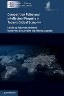 Competition Policy and Intellectual Property in Today''s Global Economy