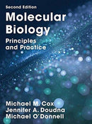 Molecular Biology : Principles and Practice-9781319154134