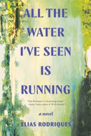All the Water I've Seen Is Running – A Novel