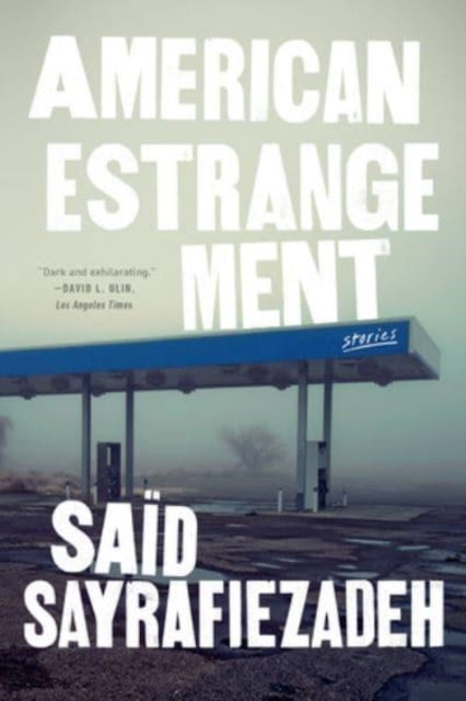 American Estrangement : Stories-9781324050483