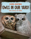 Owls in Our Yard! : The Story of Alfie-9781324053194