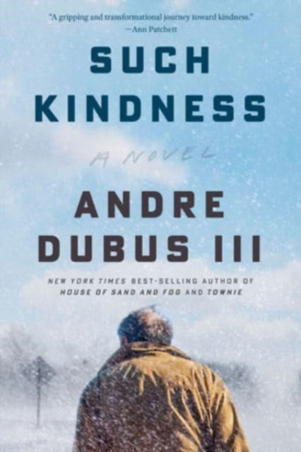 Such Kindness : A Novel-9781324076131