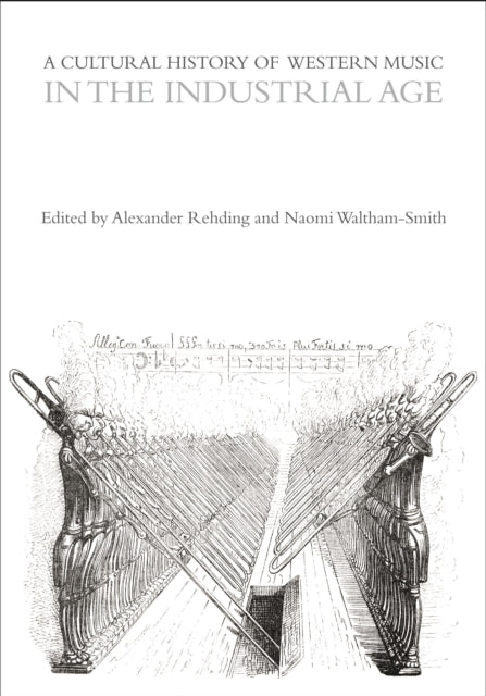 A Cultural History of Western Music in the Industrial Age-9781350075597