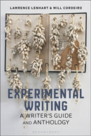 Experimental Writing : A Writer's Guide and Anthology-9781350240971