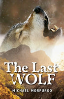 Rollercoasters: The Last Wolf-9781382034074