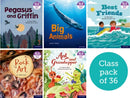 Essential Letters and Sounds: Essential Phonic Readers: Oxford Reading Level 7: Class Pack of 36-9781382039369