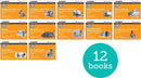 Read Write Inc. Phonics: Orange Set 4 More Black & White Storybooks (Pack of 12)-9781382047906