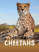 Cheetahs-9781398202429