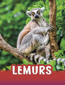 Lemurs-9781398202443