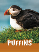 Puffins-9781398202450
