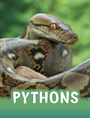 Pythons-9781398202474