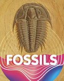 Fossils-9781398204157