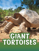 Giant Tortoises-9781398213104
