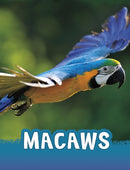 Macaws-9781398213142