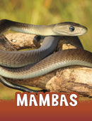 Mambas-9781398213166