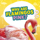 Why Are Flamingos Pink?-9781398215696